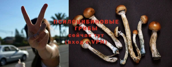 дурь Лагань
