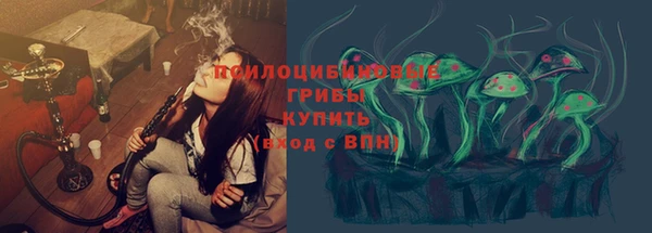 ПСИЛОЦИБИНОВЫЕ ГРИБЫ Лиски