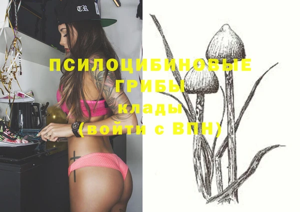 спиды Липки