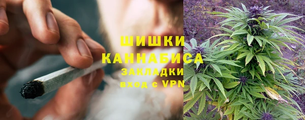 гашик Вязьма