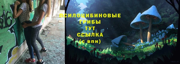 крисы Вязники