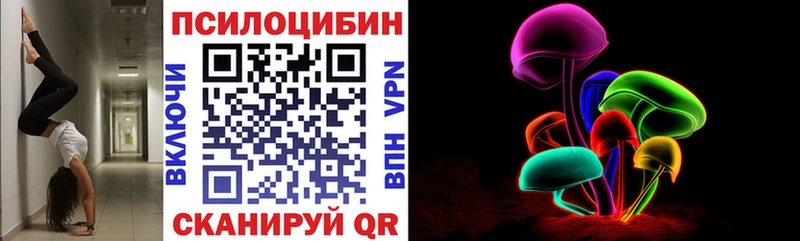 Галлюциногенные грибы MAGIC MUSHROOMS  где найти   Мезень 